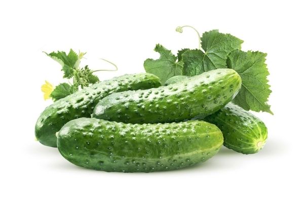 Znaczenie chloru w uprawie warzyw